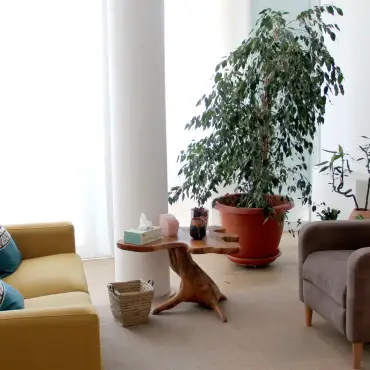 interior-consulta-psicologia-sofa-planta-mesa